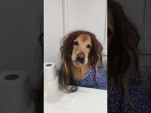 Ashley a Bonnie: Veřejné WC
