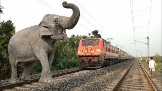 Giant ELEPHANT vs TWO TRAINS | Stops the train | BeamNG.Drive – Train Simulator 2025