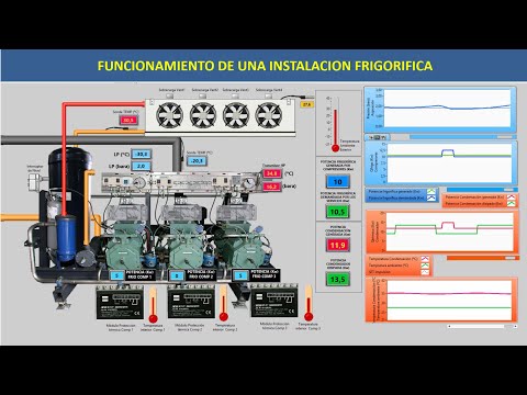 Masterclass: Como funciona Central frigorífica Tienda congelados