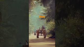 প্রশ্ন কবিতা | রবীন্দ্রনাথ ঠাকুর | কন্ঠে  রানী রায় |