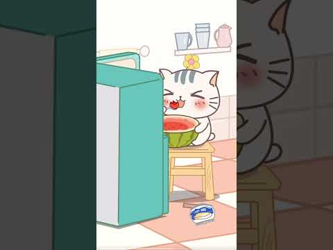 Potato take care boyfriend got sick. 土豆照顾男朋友生病了#potatomeow #cat #animationmeow #potoandbobo