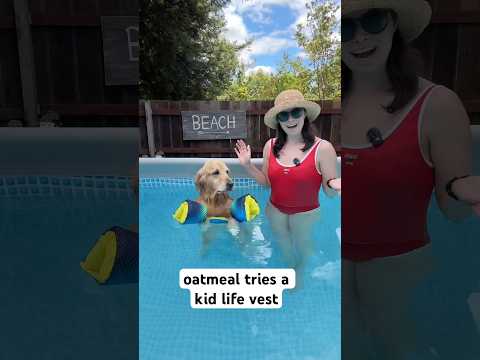 thank you ​⁠@SpeedoUSA1928  😍 #PoolTime #FunnyDog