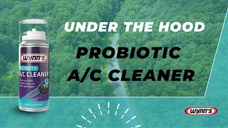 Discover the new Probiotic A/C Cleaner from Wynn's