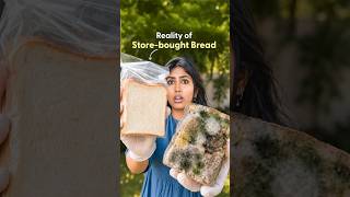 Homemade vs Packaged Bread - 10 Days Shocking Test