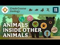 Crash Course Zoology: Parasites and Ecosystems