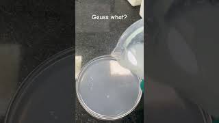 Guess What? 😂🙃🍆💦