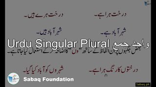 Urdu Singular Plural واحد جمع