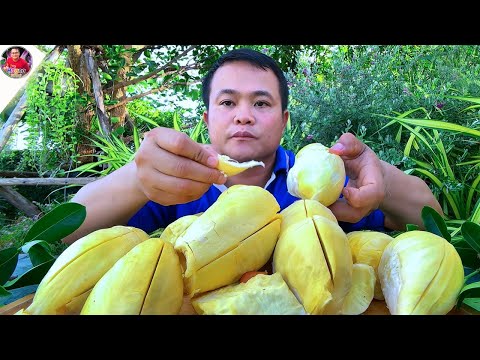 ทุเรียนพูใหญ่ๆ เนื้อแน่นๆ หวานหอมหมอนทองสามพันโบกแซ่บคัก