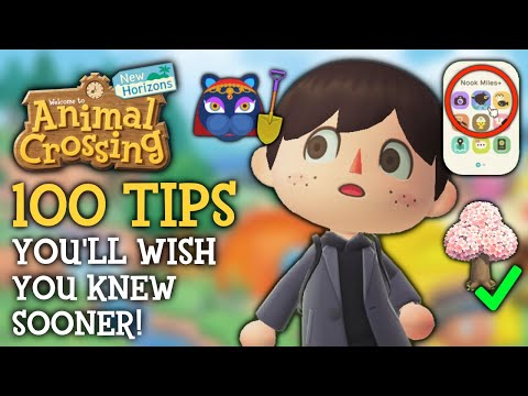 100 Tips I WISH I Knew Sooner In Animal Crossing New Horizons