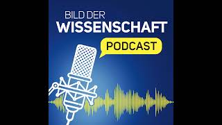 Folge 16: Vogelstimmen mit KI erkennen