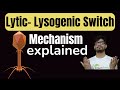Bacteriophage Lambda Protein Functions