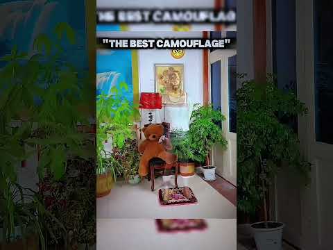 Best Camouflage ⚠️ #viralshort #viralvideo #memes #4u #foryou #aura #funny #fun #tiktok