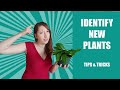 Plant Identification and Community Insights