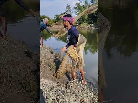 Village people cast net fishing 🎣 village river fishing