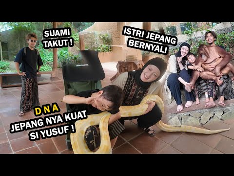 GK HABIS PIKIR ! ISTRI JEPANG SAMA ANAK SAMA SAMA BERNYALI ! D N A JEPANG NYA KUAT !!