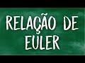 Propriedades de Poliedros e Relação de Euler