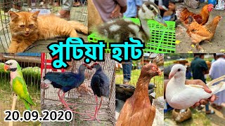 টিয়া, তোতা, ময়না, কালিম, খরগোশ ও কবুতর নিয়ে জমজমাট হাট | পুটিয়া হাট | শনিবার | Putia Pet Market #827
