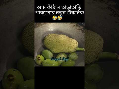আম কাঁঠাল তাড়াতাড়ি পাকানোর নতুন টেকনিক 😂- Manosi Pokrity and Tonmoy Sohel #shorts #viral #foryoupage