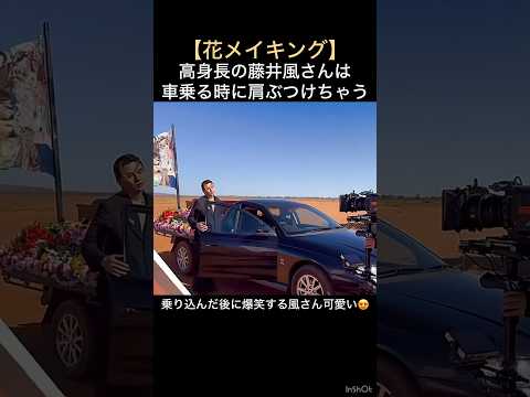 【花メイキング】高身長の藤井風さんは車乗る時に肩ぶつけちゃう #藤井風 #fujiikaze #shorts #instalive #藤井風instagram #藤井風instagramストーリー