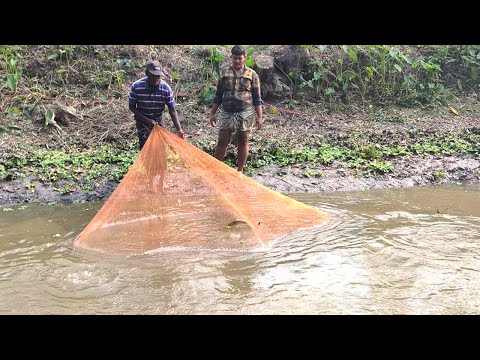 Best Fishing With Net - Big Fish Catching With Cast Net in The Pond