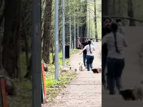 Кто помнит эту историю ? 😰 #dog #собака