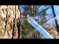 Maple Syrup Production and Processing