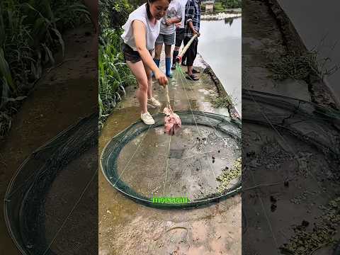 Le Défi de l’Appât Pourri du Vieux ! 🐟😱🪱
