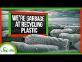 Understanding Plastic and Recycling