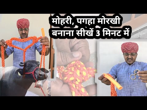 मात्र 3 मिनट में सीखें मोहरी, पगहा मोरखी बनाना।How to make Halter rope.