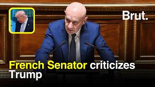 French Senator criticizes Trump
