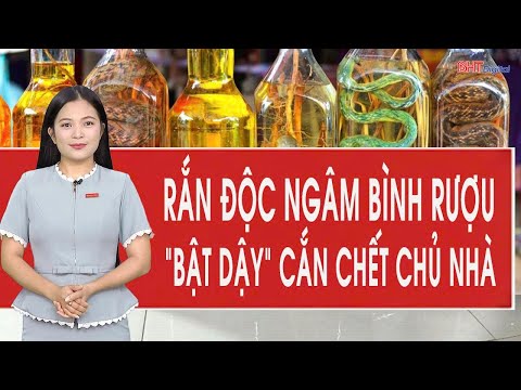 Hy hữu: Rắn độc ngâm trong bình rượu 1 năm bất ngờ “bật dậy” cắn chết chủ nhà