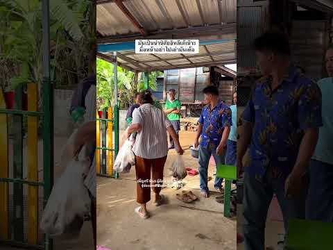 มื้อลุนอย่าเอิ้นเลาเด้อยายอันนี้😂 #คุณยายสายฮา #funny #แม่ลูกสายฮา #ฮาๆ #ตลก #ชีวิตบ้านๆ