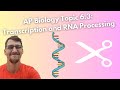 RNA Processing and Transcription Concepts