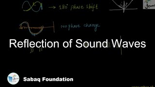 Reflection of Sound Waves