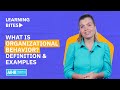 Organizational Behavior Concepts Assessment