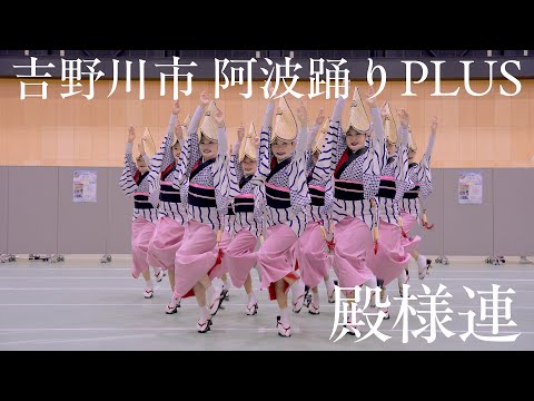 【阿波踊り】吉野川市 阿波踊りPLUS　殿様連の阿波おどり | Awaodori in Tokushima Japan