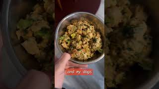 Shop must-have dog deals from the Farmer's Dog!