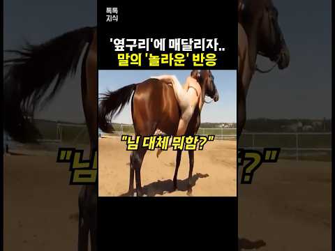 옆구리에 매달리자.. 녀석의 반응