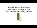 Understanding Related Rates in a Ladder Problem