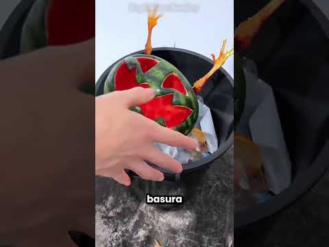 Mi Dueña Rompió Mi Calabaza Pero Pasó Esto 😲😨