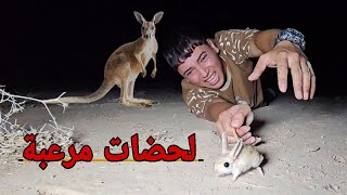 لزمت اسرع حيوان بري بالعراق _شوفو شصار بينه 😱