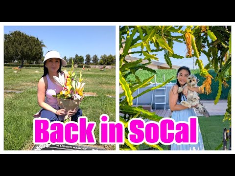 Travel Vlog to Anaheim, California + Got to Visit My Parents' Grave!