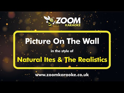 Natural Ites & The Realistics – Picture On The Wall – Karaoke Version from Zoom Karaoke