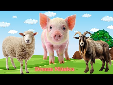 Farm Animal Food: Sheep, Goat, Pig, Horse, Cow, Duck - Animal Videos