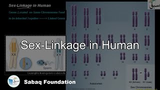 Sex-Linkage in Human