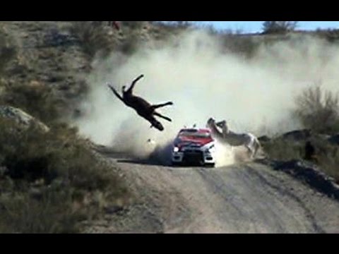 Compilation Crash rally 2014/2015 , #1