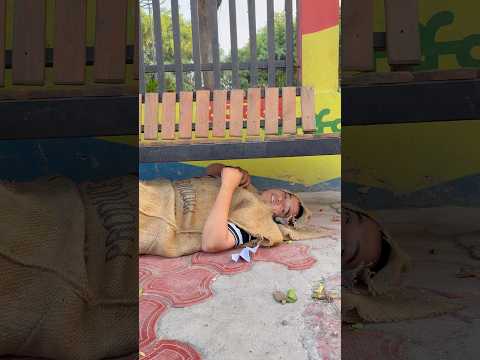 Sir Pagal Kiu ho Gaye ๐ญ๐ญ๐#short #youtubeshorts #school