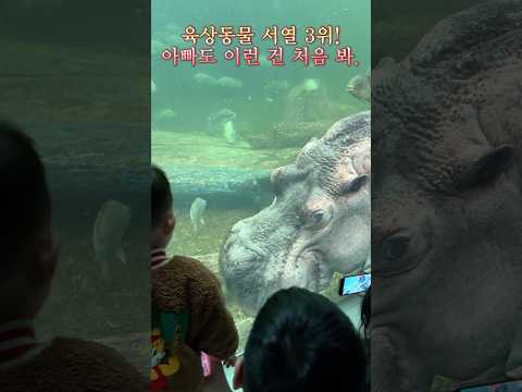 이런 건 아빠도 처음이야.