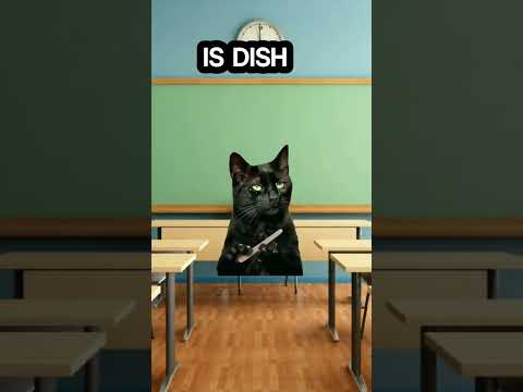 Английский язык... #котики #рекомендации #милота #актив