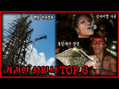 성인으로 인정받기 개빡센 나라 TOP 6